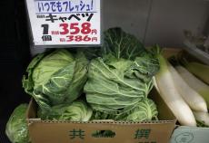 【経済】「キャベツ1玉500円」は序章にすぎない…「いままでが安すぎた」国産野菜が"高級品化"している不都合な真実