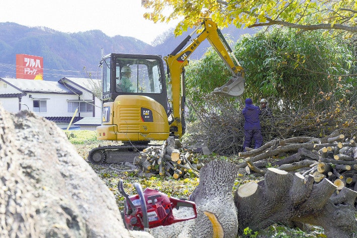 【（・(ｪ)・）】親子グマが柿の木に連日居座り、県外所有者に了承得て緊急伐採…住民「やっと普通の生活に戻れる」