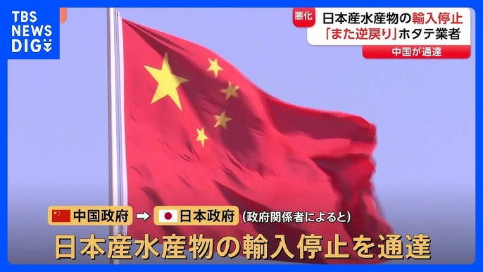 中国の水産物輸入停止にホタテ業者は…「マイナスになってまた逆戻り。ビクビクしながら僕らはやらなきゃいけない」