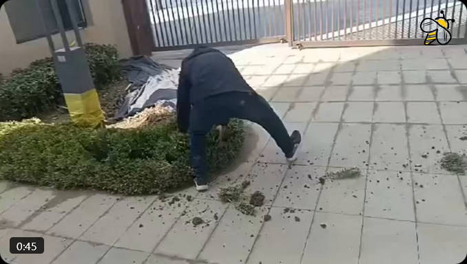 中国咸陽市の労働者達、賃金未払いの腹いせに植木を抜いてまき散らす