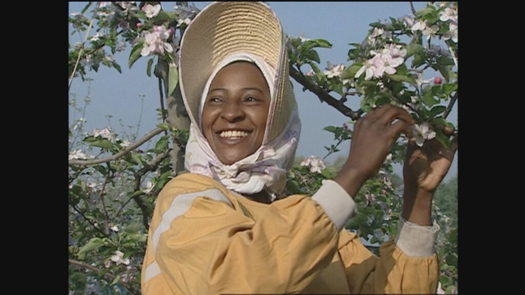 【「外国人いらない」「黒人ダメ」と4回断られても　長野のりんご農家に嫁いだタンザニア人女性　30年間で2800万円を母国支援】差別乗り越え「価値は一緒」貫く