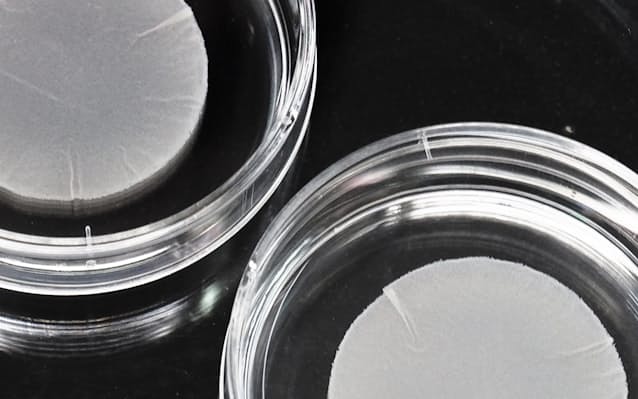 【医療】iPS細胞製品の世界初実用化、厚労省が19日審議　クオリプスと住友ファーマ